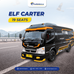 Elf Carter