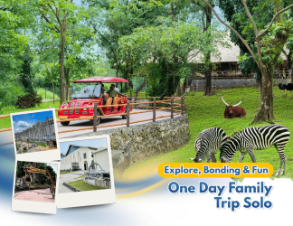 One Day Family Trip Solo – Explore, Fun & Memories